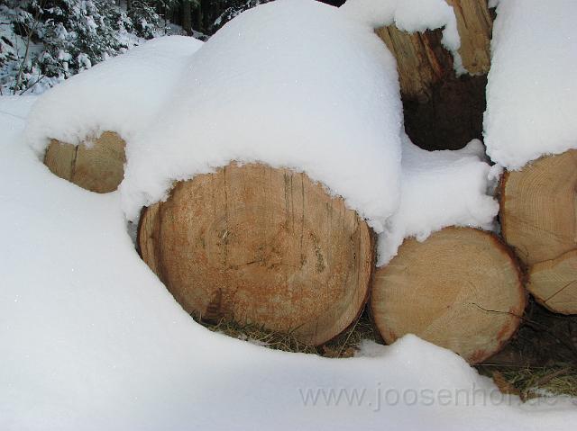 Winter im Schwarzwald.JPG
